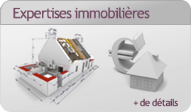 expertises immobilieres